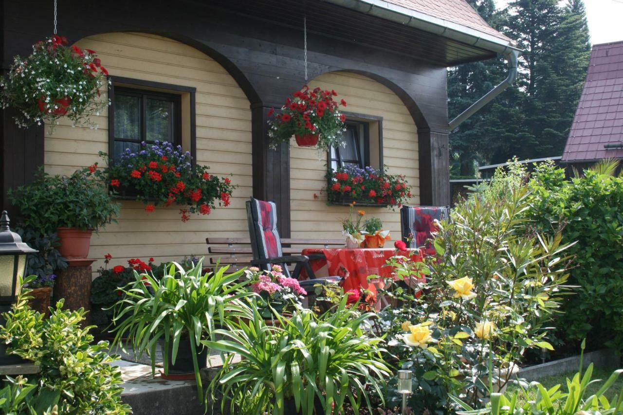 Ferienwohnung Hesse Am Wachberg Saupsdorf 외부 사진